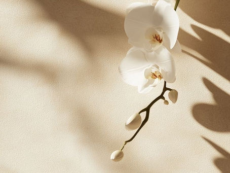 An Orchid in Every Room