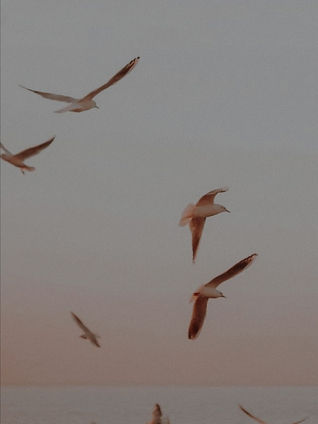 Whispers of the Horizon Poem by Krystle Kelley