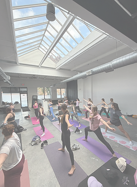 Screen Shot 2025-11-10 at 4.23_edited.pn