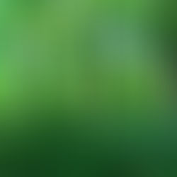 July 21, 2021 Message