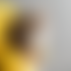 A close-up, side-profile shot of a tabby cat wearing a bright yellow sunflower petal collar. The cat is looking slightly upward with a focused, perhaps slightly grumpy, expression. Its long white whiskers are prominent against the soft, grey background, and the felt petals of the costume frame its head, making it look like the center of a flower.