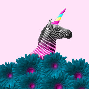 A digital collage or photo manipulation featuring a zebra with its body colored in bright pink and magenta stripes.