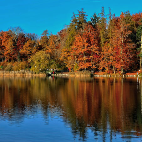 November 18, 2020 Message