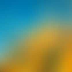 March 8, 2021 Message