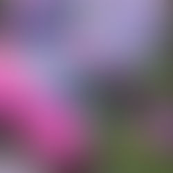 April 26, 2021 Message