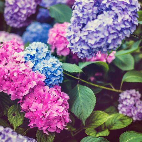 April 26, 2021 Message