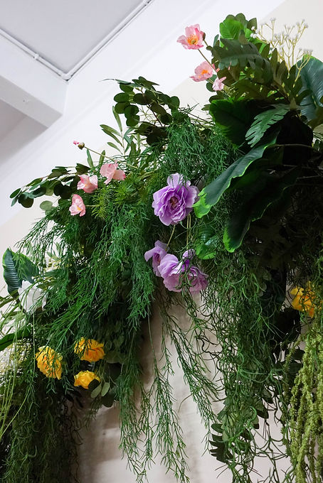DSC08000.jpg