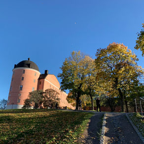 Gratitude for Uppsala Life: A Step Towards a Sustainable Future