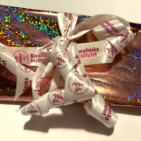 Interlinked co-founders return to Karolinska Institutet as guest lecturers