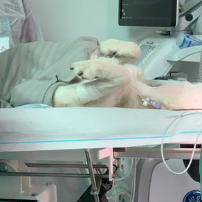 ReLink Achieves Milestone as Patients Embrace Innovative Solution!