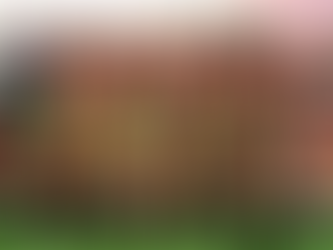 MetroStars Junior to represent NT