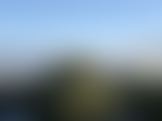 A party every morning.