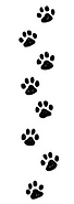 PAWS.PNG