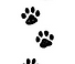 PAWS.PNG