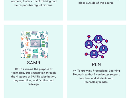 Professional Learning Goals