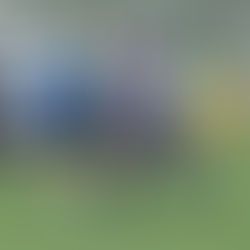 Der Spieltag - 06.04.2025