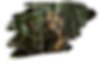 img1.png
