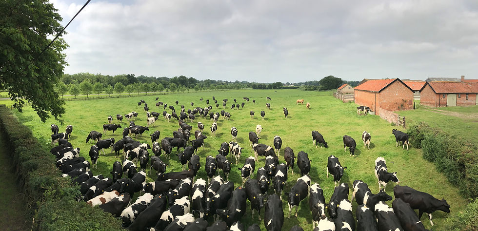 pano.jpg