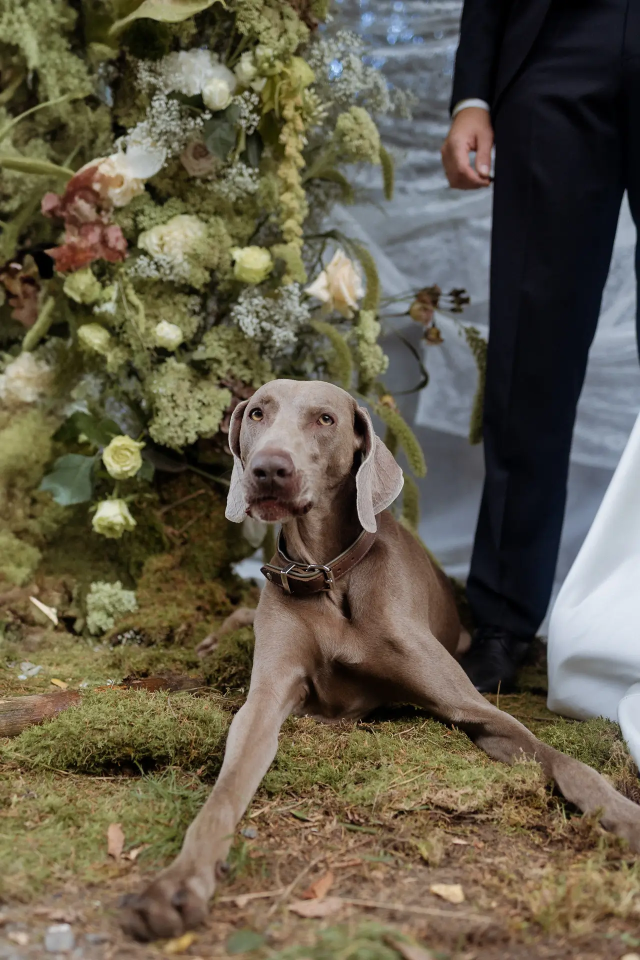 Hund bei Hochzeit im Schloss im Old Money Stil