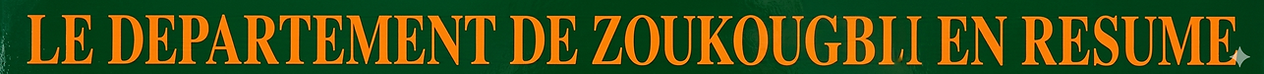 RESUME ZOUKOUGBEU 2.png