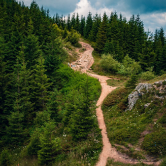 Capture d'écran 2025-07-14 165846.png