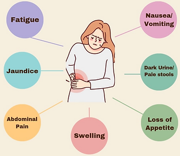 Liver Imbalance
