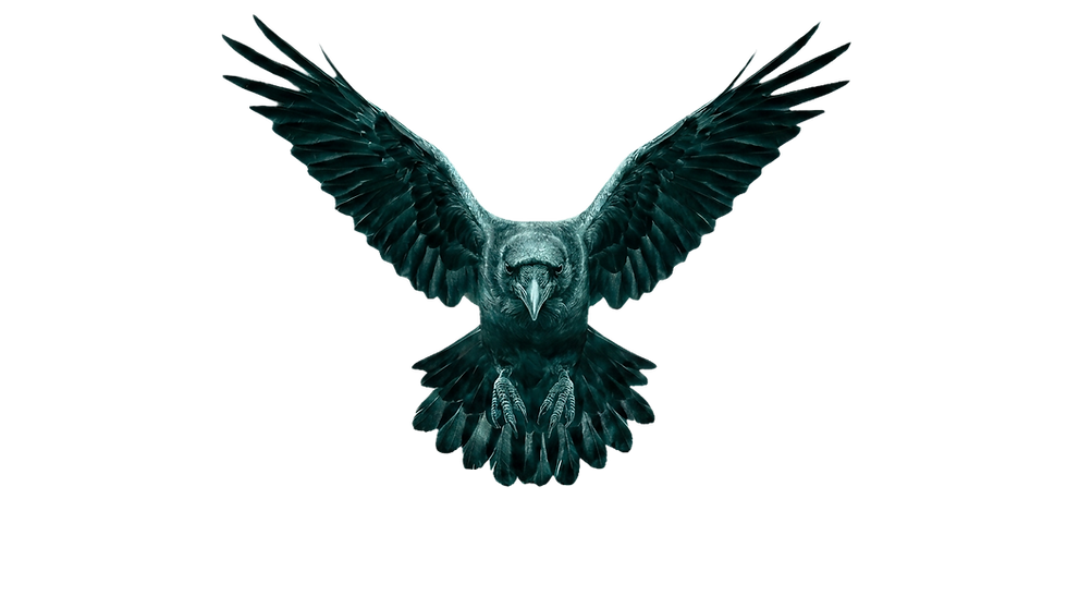 Ravn NY.png
