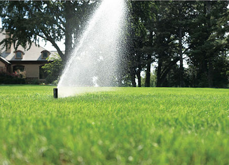 Watering 101… No Need To Over Complicate Things