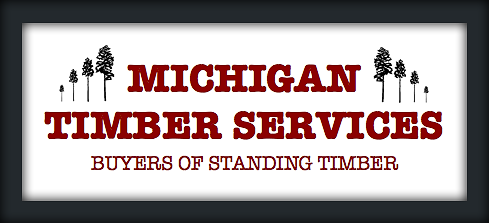Michigan Timber Services - Buyers of Standing Timber - Northern MI