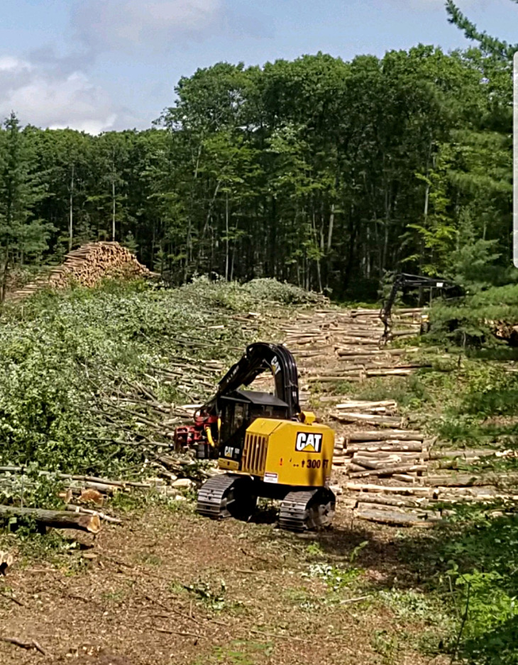 Michigan Timber Services Logging Photos Northern Michigan