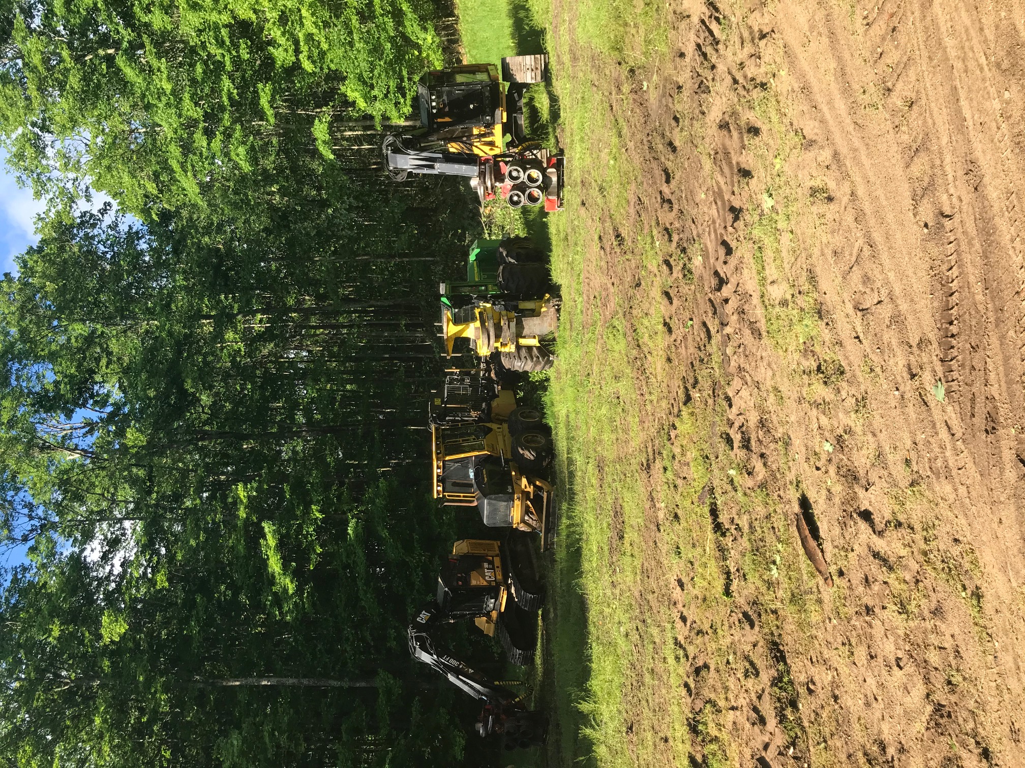 Michigan Timber Services Logging Photos Northern Michigan