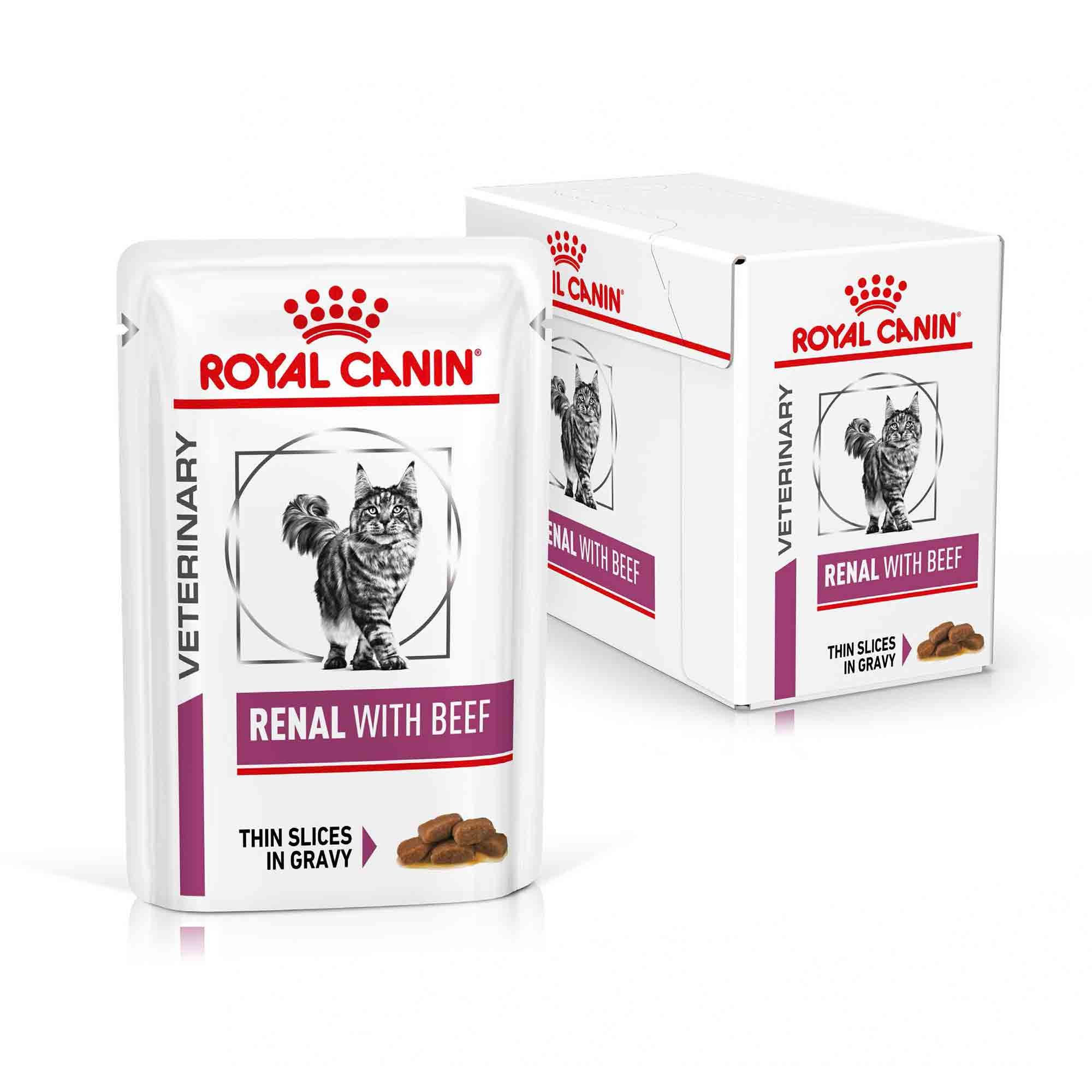 V DIET CAT RENAL S/O BEEF 12*85G