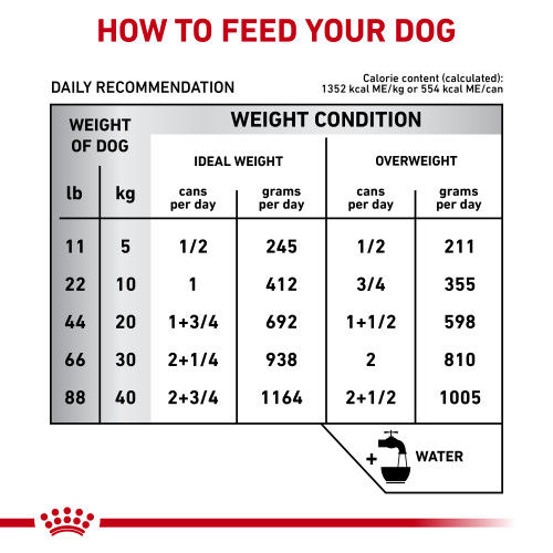 Thumbnail: V DIET DOG HEPATIC 12*420G
