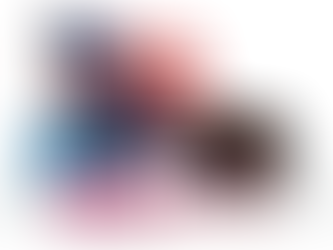 Stock markets in H1 2024