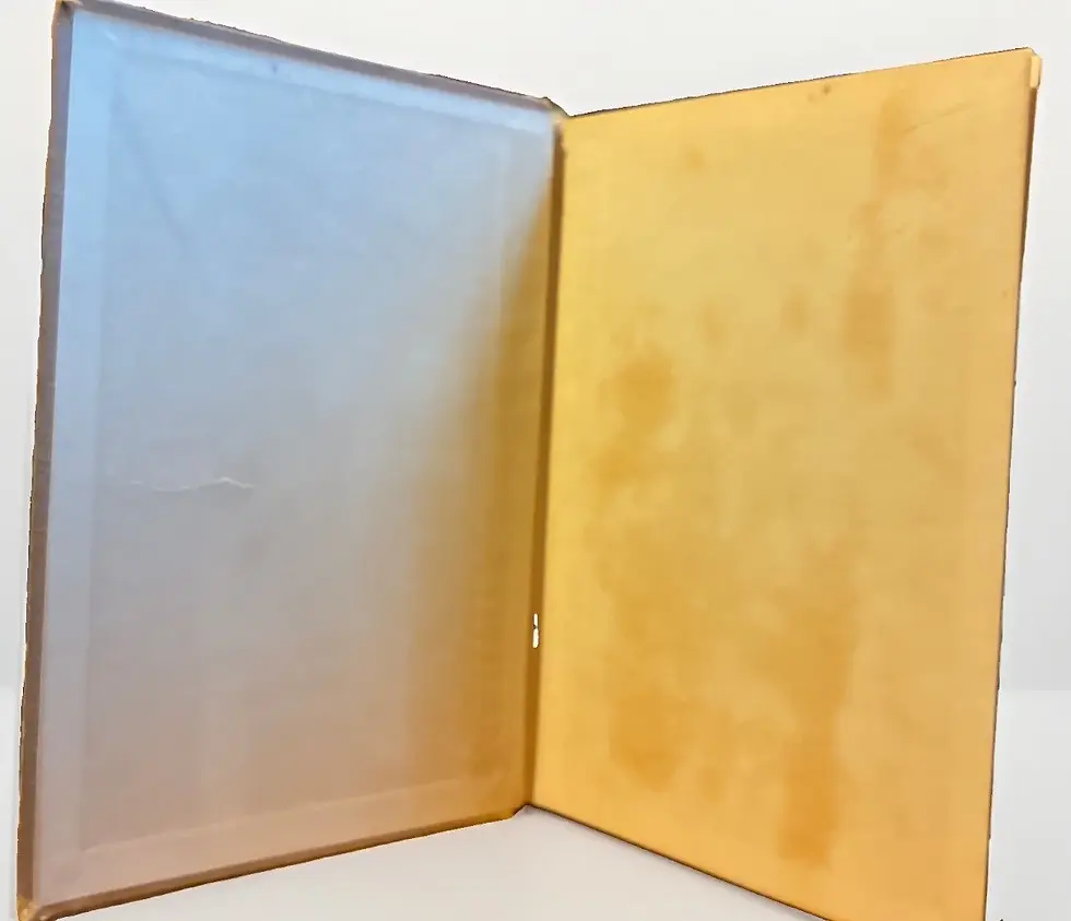 Thumbnail: 1927 Antique Biblical Novel “The King of Kings” Illus
