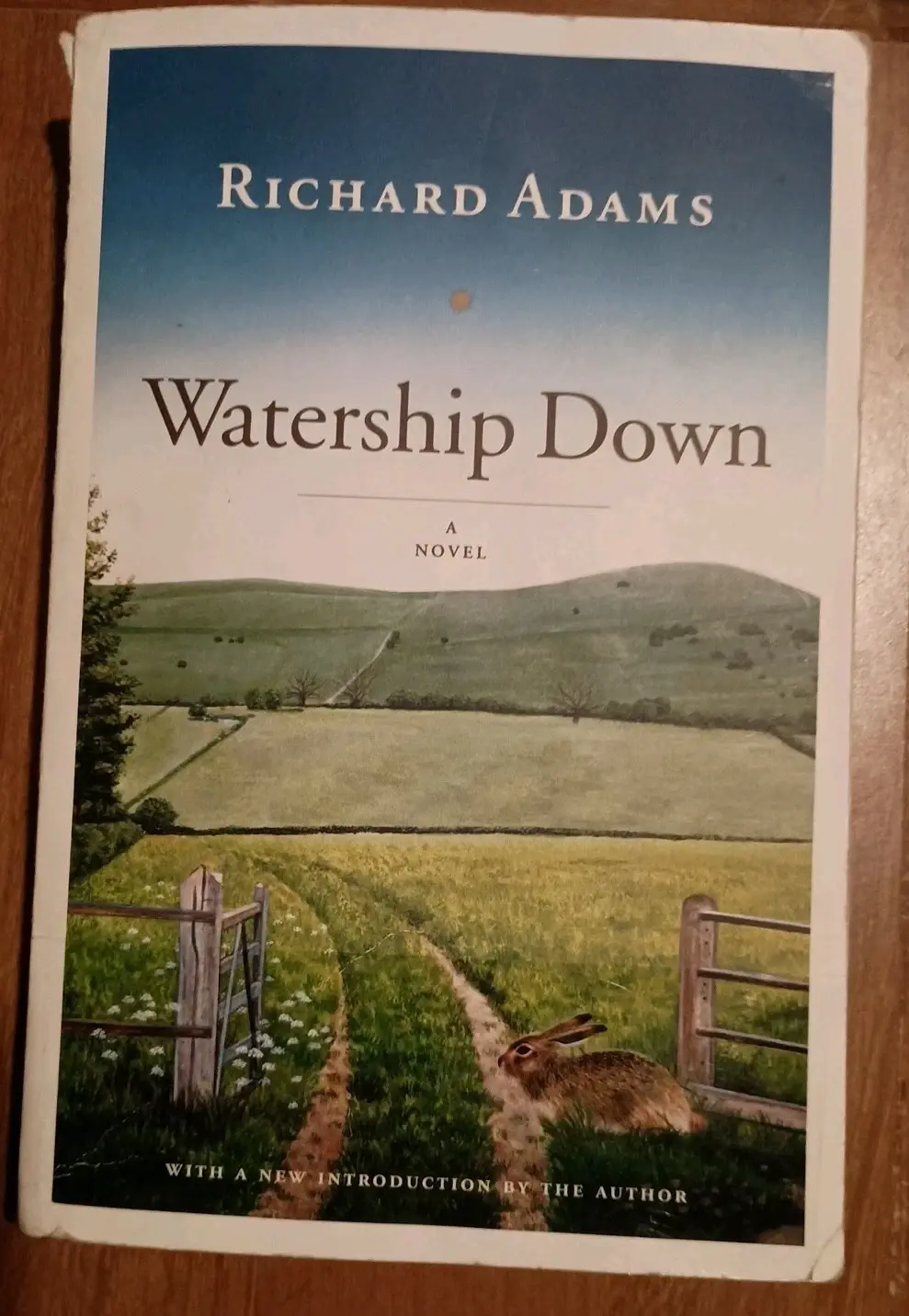 Watership Down : A Novel by Richard Adams (2005, Trade Paperback)