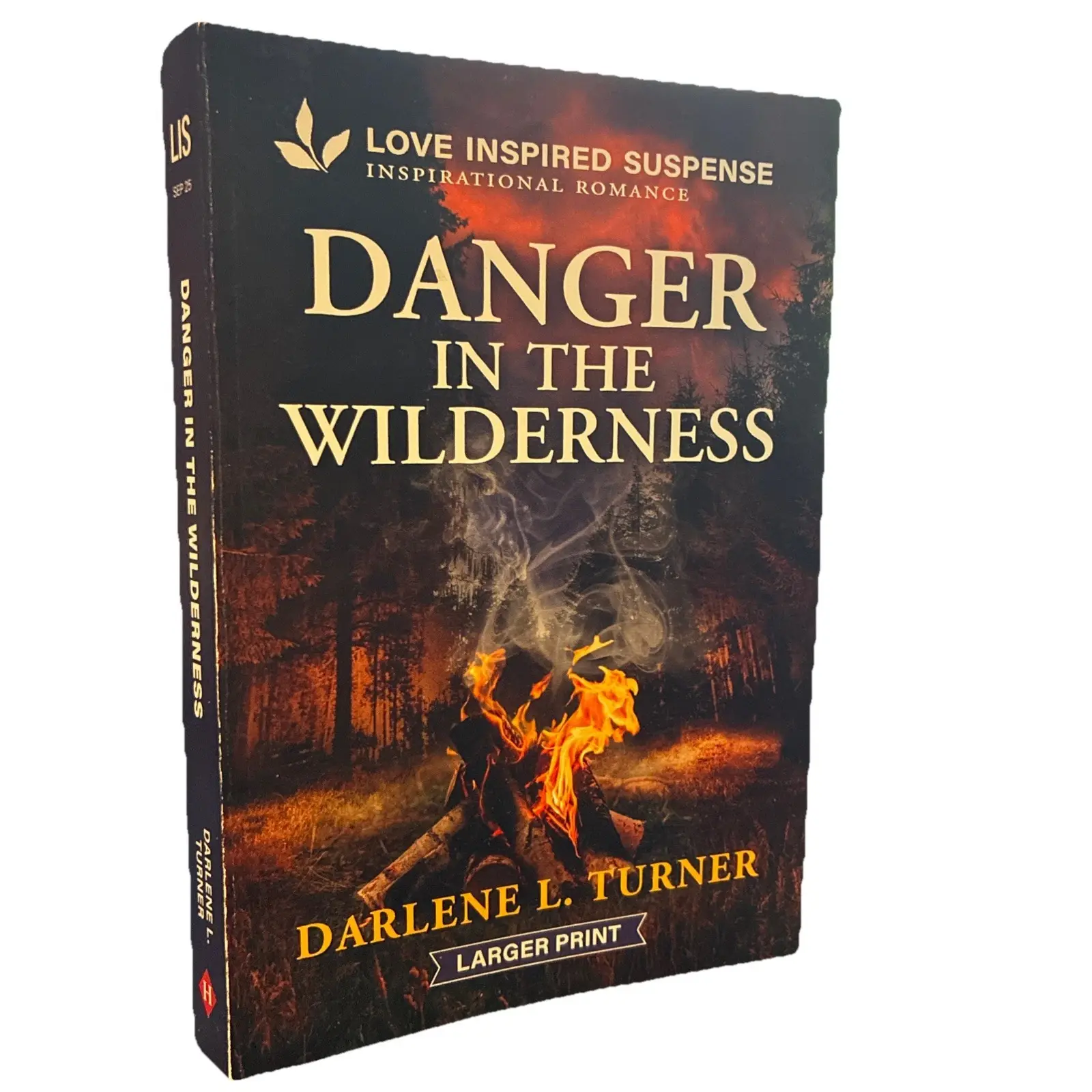 Danger in the Wilderness by Darlene L. Turner (2025, Mass Market)
