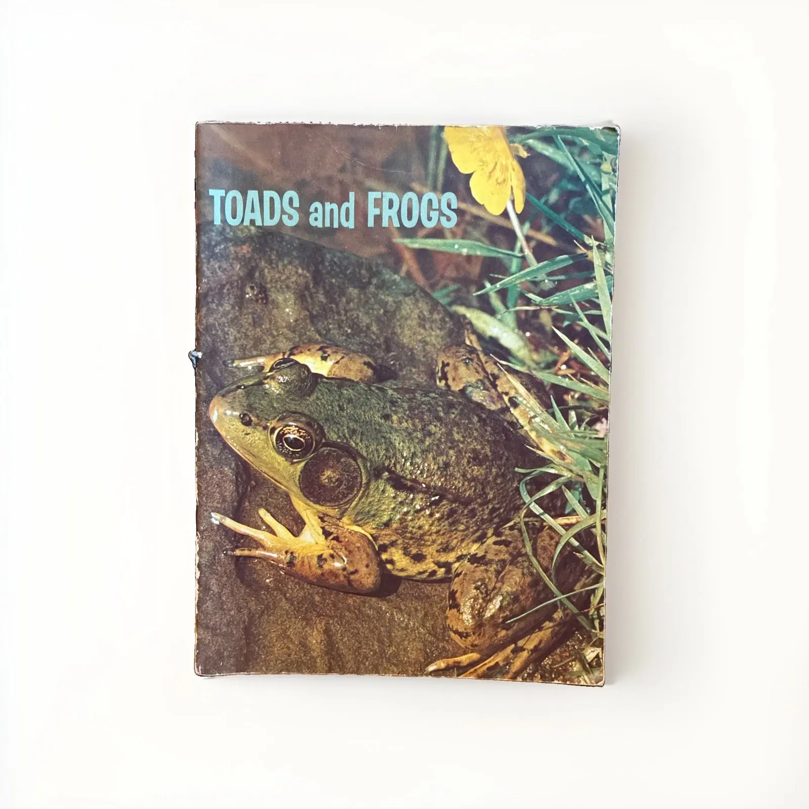 Toads and Frogs Parker. The Basic Science Education Series. 1959 Homeschool