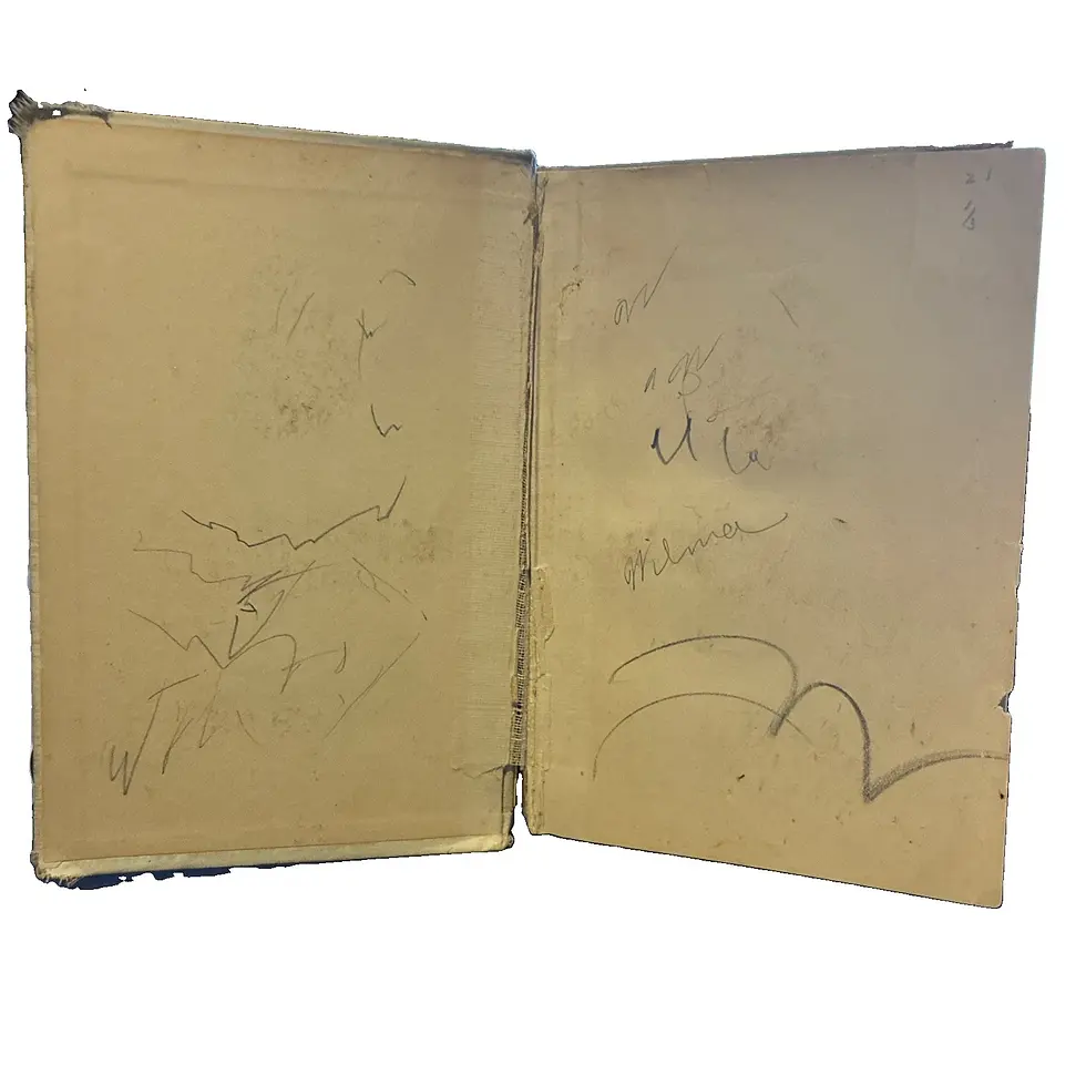 Thumbnail: 1904 A Prairie Infanta 1st Edition Antique book RARE Eva Wilder Brodhead