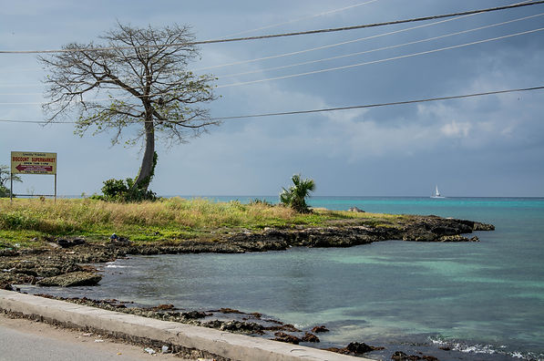 Jamaica 2015-0228.jpg