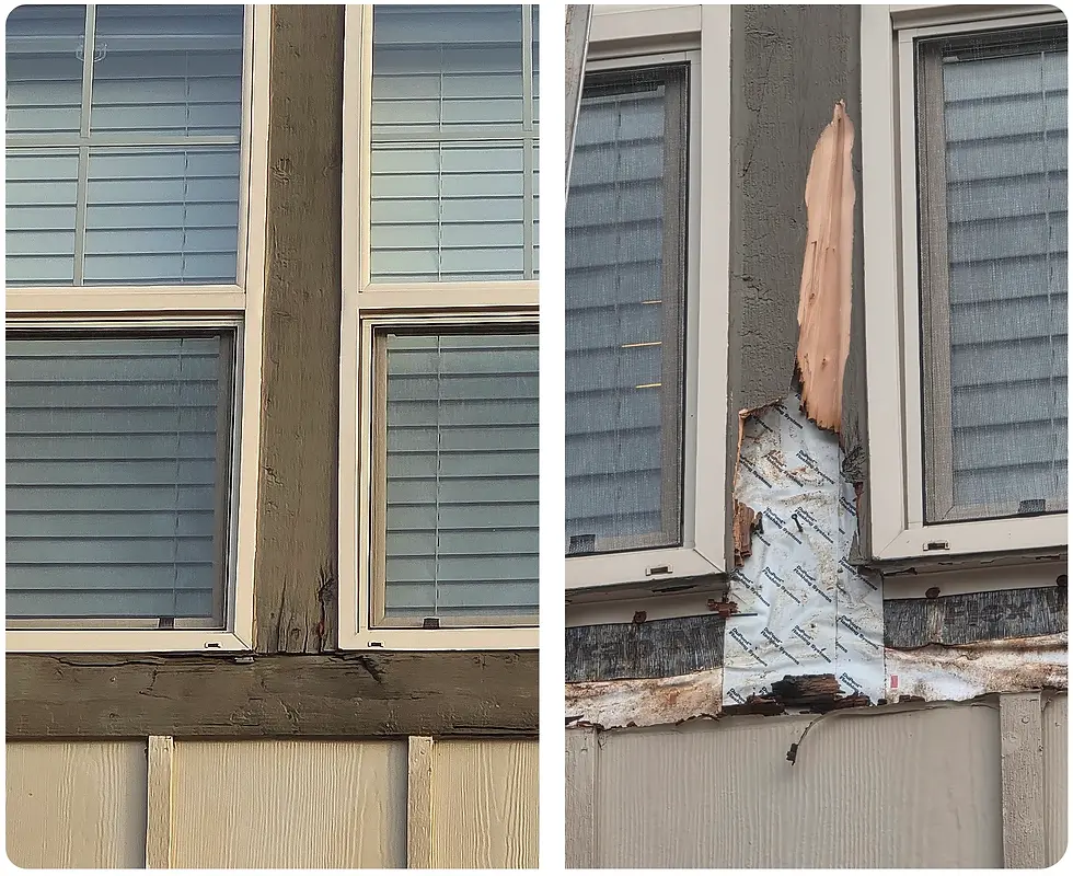 Split-screen photo showing the damaged SPF trim on the left and the beginning of removal (revealing the hidden WRB layer) on the right.