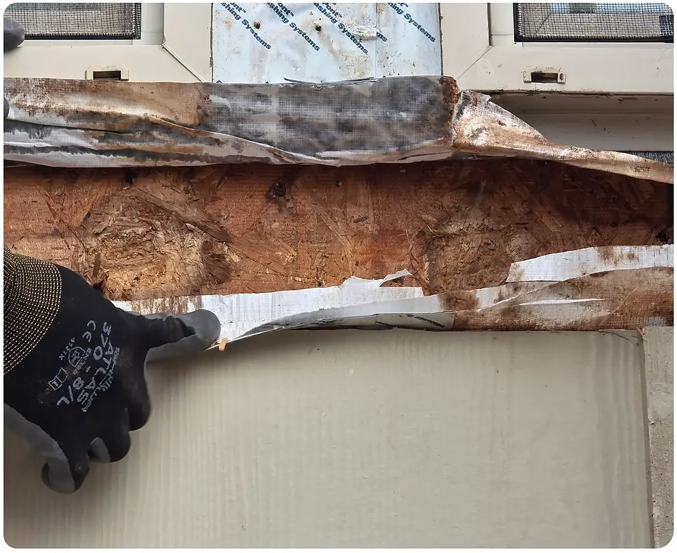 Close-up photo showing the OSB plywood layer, hidden behind the WRB, and the effects of moisture intrusion found there.