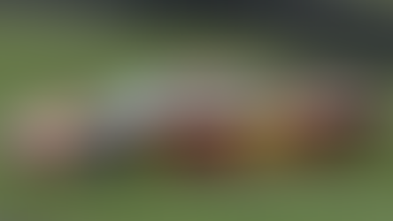 Nick Mason sufre un accidente con su McLaren F1 GTR en Goodwood