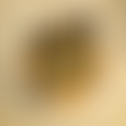 Nick Mason Tour: Oficial cambio fechas para Barcelona y Madrid 2021