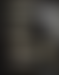 The Black Strat: A History Of David Gilmour's Black Fender Stratocaster 4ª edición