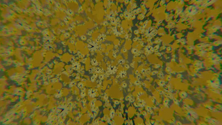 Escucha Time de Roger Waters - The Dark Side Of The Moon Redux