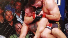 khabib conor.gif