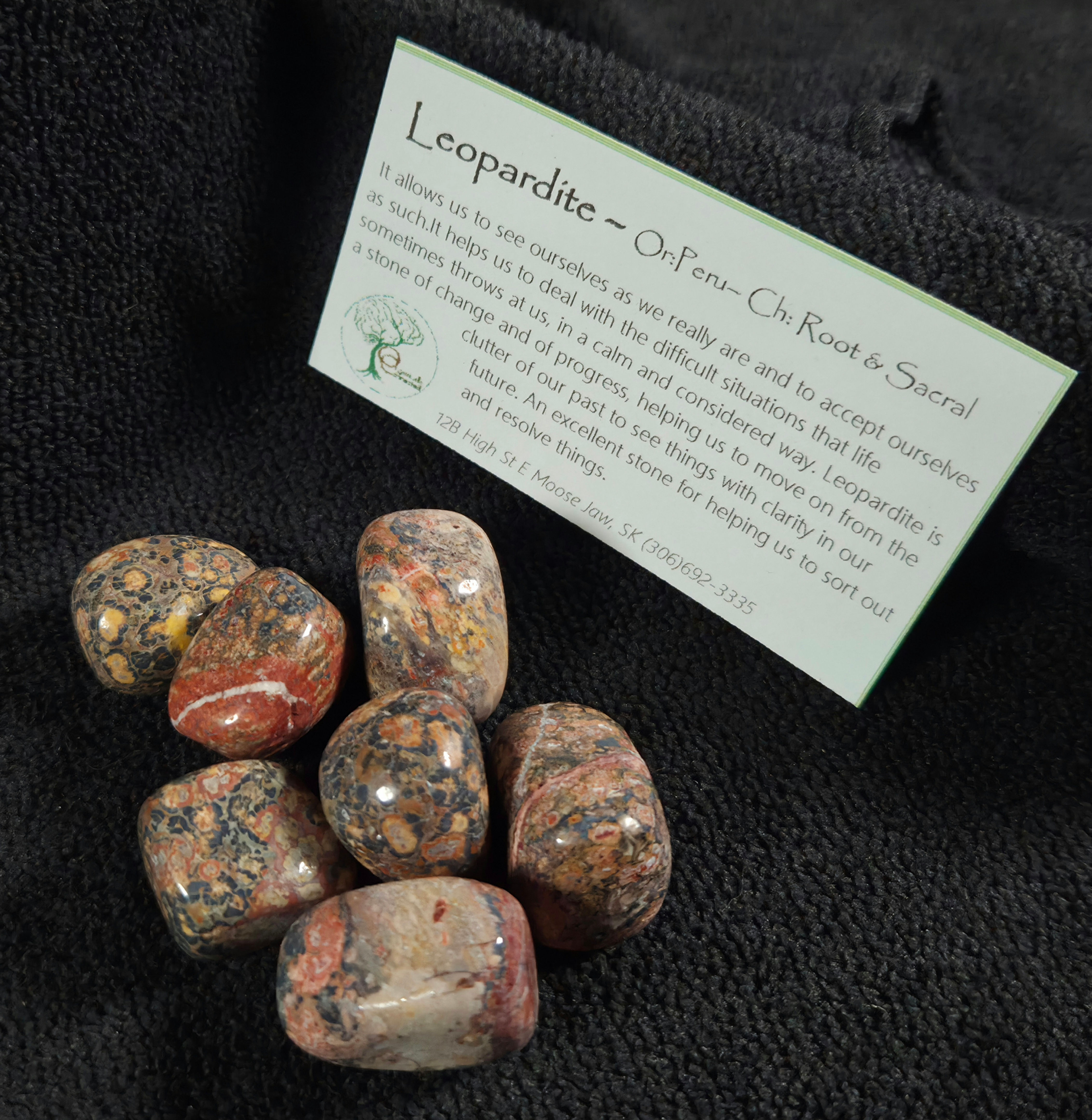 Leopardite