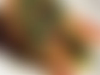 St.Bunny-ში — ახალი სპეციალური მენიუ!