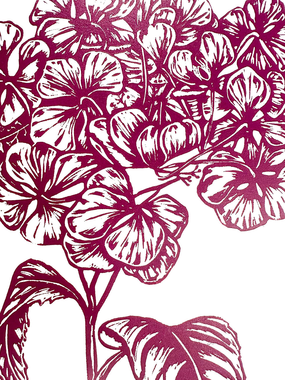 Thumbnail: Handprinted Hydrangea Linocut Print